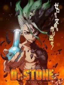 Dr. Stone