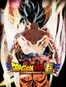 Dragon Ball Super Dublado