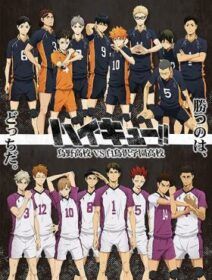 Haikyuu!! 3