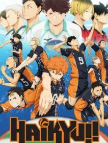 Haikyuu!!