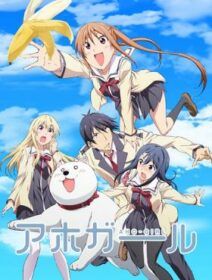 Aho Girl