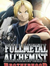 Fullmetal Alchemist Brotherhood