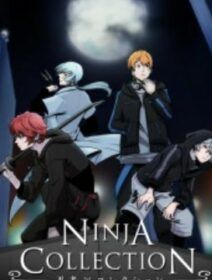 Ninja Collection