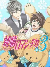 Junjou Romantica 3