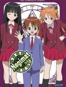 Mahou Sensei Negima