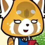 Aggressive Retsuko (ONA)