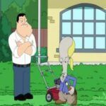 American Dad!