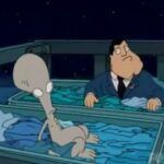 American Dad!