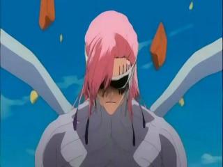 Bleach - Episodio 195 - União Extrema! A Seriedade de Pessche