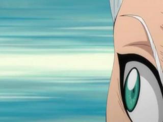 Bleach - Episodio 293 - Lâmina de Ódio! A Fúria de Toushirou