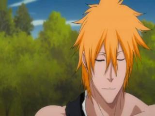 Bleach - Episodio 310 - A Resolução de Ichigo! O Preço da Batalha Feroz