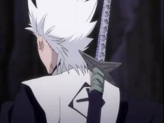 Bleach - Episodio 324 - Recapture Seireitei! Os Capitães se Movem!