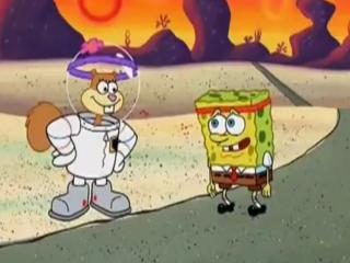 Bob Esponja - Episodio 54 - Uma semana antes da Hibernação