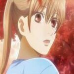 Chihayafuru 2