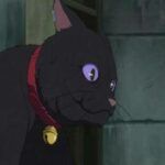 Darker Than Black: Kuro No Keiyakusha