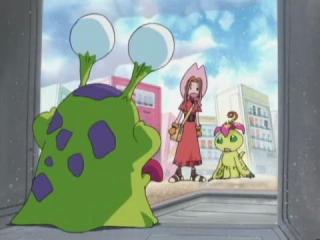 Digimon Adventure - Episodio 6 - É a Vez de Palmon Digitransformar