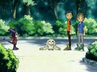 Digimon Tamers - Episodio 17 - À Procura da Carta Azul! Rapidmon, veloz como um raio