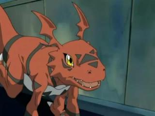 Digimon Tamers - Episodio 7 - Guilmon corre Perigo! Uma Aventura no Meu Bairro