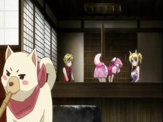 Dog Days 2 - Episodio 11 - episódio 11