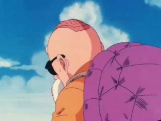 Dragon Ball - Episodio 8 - O Kame-Hame-Ha de Kame