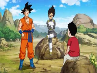 Dragon Ball Super - Episodio 30 - Escolhendo os Participantes, Quem Serão os Últimos Dois?