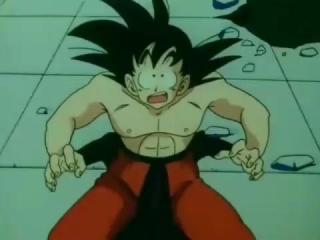 Dragon Ball Z - Episodio 102 - Uma batalha extraordinádia!!