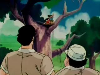 Dragon Ball Z - Episodio 16 - Corre Gohan! Chi-chi o espera na montanha Paozu