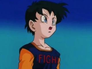 Dragon Ball Z - Episodio 257 - O treinamento é um perfeito sucesso.