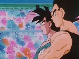 Dragon Ball Z - Episodio 290 - Eu sou Oob.