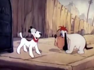 Droopy Dog - Episodio 1 - Episódio 1