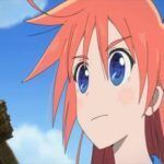 Flip Flappers