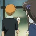 Fruits Basket