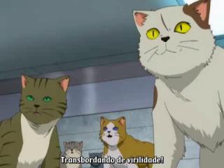 Gintama - Episodio 192 - Blues dos Gatos de Rua do Distrito Kabuki