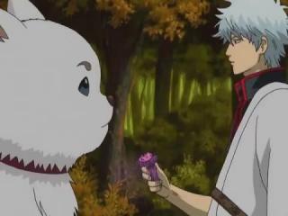 Gintama - Episodio 73 - Considere-se Cogumelos Matsutake... tem um gosto realmente bom