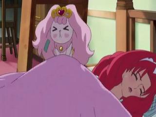 Go! Princess Precure - Episodio 26 - Salvem a Towa-sama! Lutem, Fadas Reais!