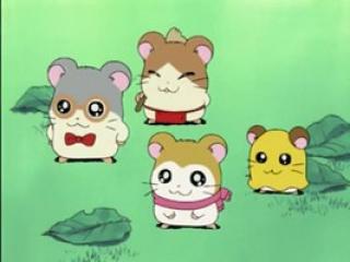 Hamtaro - Episodio 2 - Construindo o clube Ham-ham