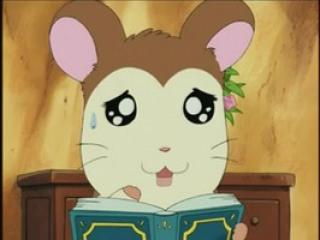 Hamtaro - Episodio 4 - Saia, Cachos