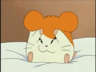 Hamtaro - Episodio 6 - Primeira vez na praia