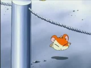 Hamtaro - Episodio 9 - Tanto escândalo escola