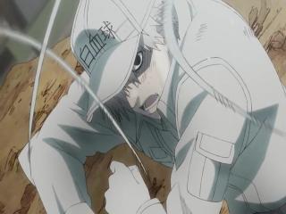 Hataraku Saibou - Episodio 11 - Insolação