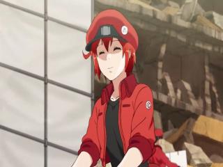 Hataraku Saibou - Episodio 13 - Choque Hemorrágico - Parte 2