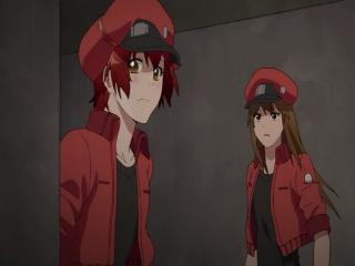 Hataraku Saibou - Episodio 2 - Arranhão