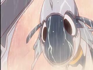 Hisone to Masotan - Episodio 12 - Eu Te Amo!