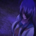 Ikkitousen: Western Wolves