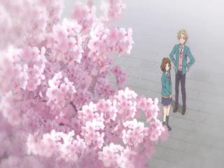 Itsudatte Bokura no Koi wa 10cm Datta - Episodio 1 - Primavera, Primeiro Amor, Cor de Cerejeiras