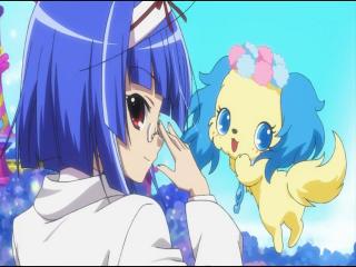 Jewelpet Twinkle☆ - Episodio 18 - O Teste da Senhora, Doki Doki!