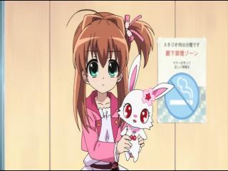 Jewelpet Twinkle☆ - Episodio 33 - Em Direção Aos Seus Sonhos, Doki Doki!