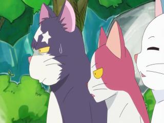 Kirakira☆Precure A La Mode - Episodio 34 - Uma Pequena Grande Batalha! A Gata Yukari VS A Fada Kirarin!