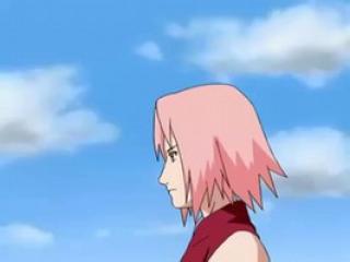 Naruto Shippuden Dublado - Episodio 33 - O Novo Alvo