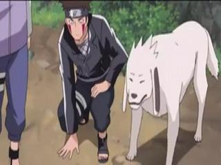 Naruto Shippuden Dublado - Episodio 95 - Os Dois Amuletos